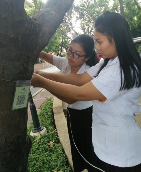 โครงการจัดทำป้ายชื่อพันธุ์ไม้ยืนต้นในมหาวิทยาลัยสยาม