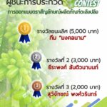 ประกาศผลรางวัล การประกวดออกแบบตราสัญลักษณ์ผลิตภัณฑ์ตะลิงปลิง