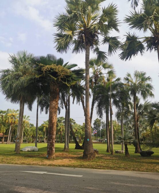 การเข้าร่วมโครงการ “การใช้ประโยชน์จากทรัพยากรท้องถิ่นฯ” และ โครงการพัฒนาศักยภาพกำลังคนเพื่อส่งเสริมการใช้ประโยชน์จากทรัพยากรท้องถิ่นฯ