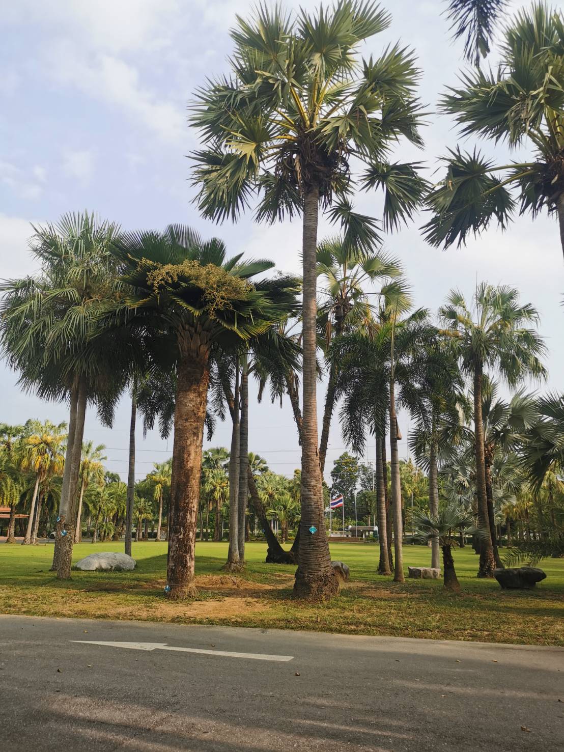 การเข้าร่วมโครงการ “การใช้ประโยชน์จากทรัพยากรท้องถิ่นฯ” และ โครงการพัฒนาศักยภาพกำลังคนเพื่อส่งเสริมการใช้ประโยชน์จากทรัพยากรท้องถิ่นฯ การเข้าร่วมโครงการ “การใช้ประโยชน์จากทรัพยากรท้องถิ่นฯ” และ โครงการพัฒนาศักยภาพกำลังคนเพื่อส่งเสริมการใช้ประโยชน์จากทรัพยากรท้องถิ่นฯ